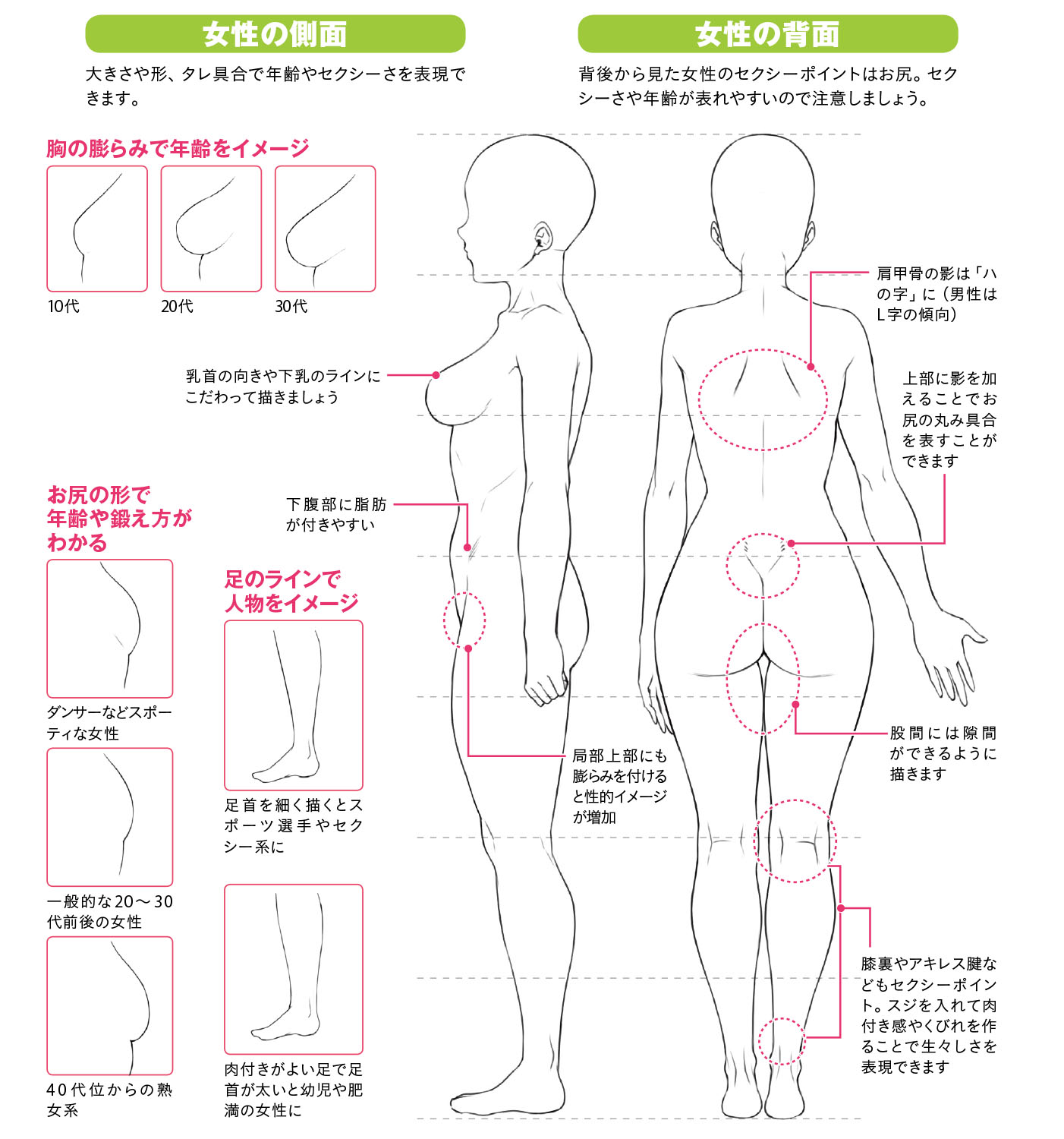 性別による骨格と筋肉の違いを理解しよう ちょっぴりhなおんなのこの