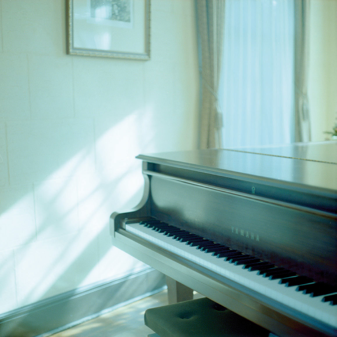 映り込みや角度によって多彩な視点が得られる ピアノ 大村祐里子の身近なものの撮り方辞典 第16回 Pictures