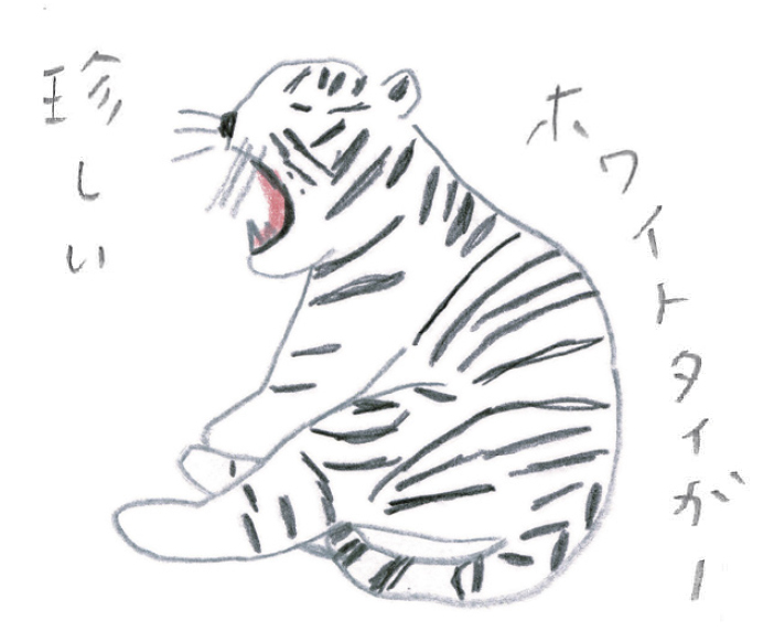 トラを描いてみよう ミヤタチカのお絵描き動物園 ゆるく楽しい描き方レッスン 第３回 Pictures