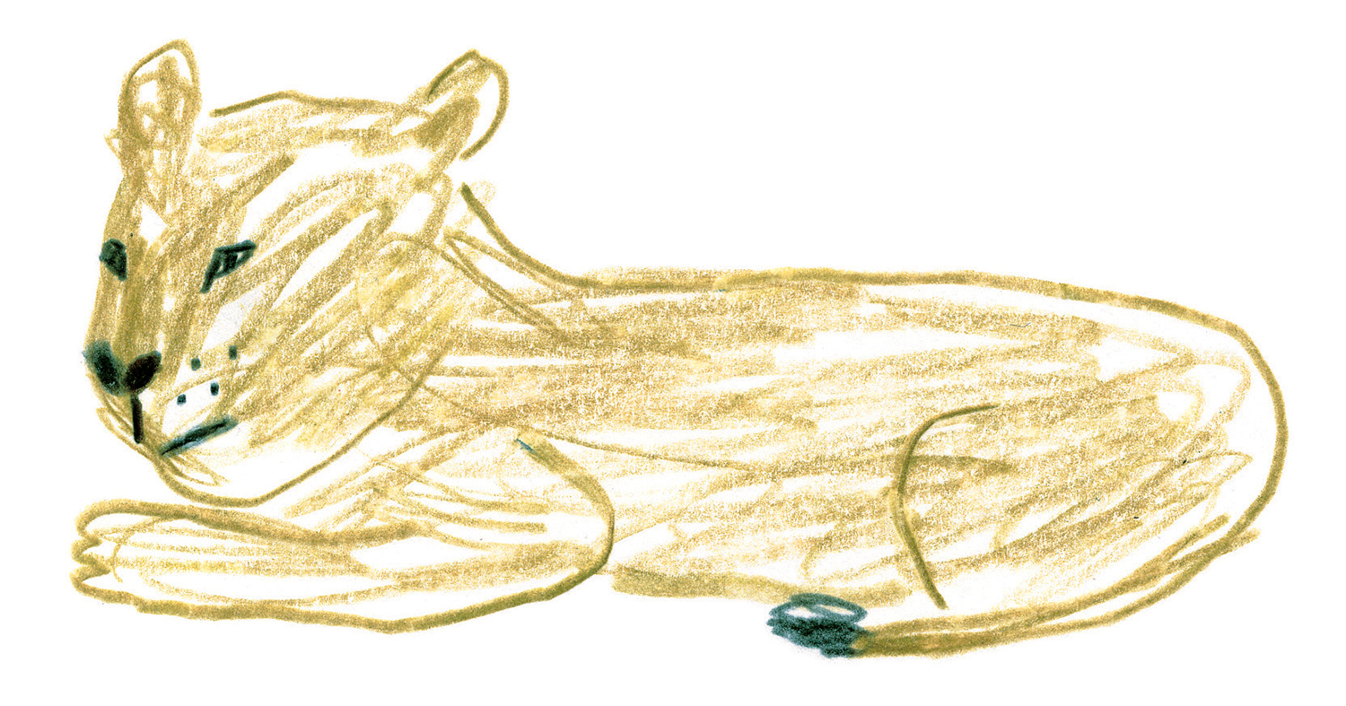 ライオンを描いてみよう ミヤタチカのお絵描き動物園 ゆるく楽しい描き方レッスン 第２回 Pictures