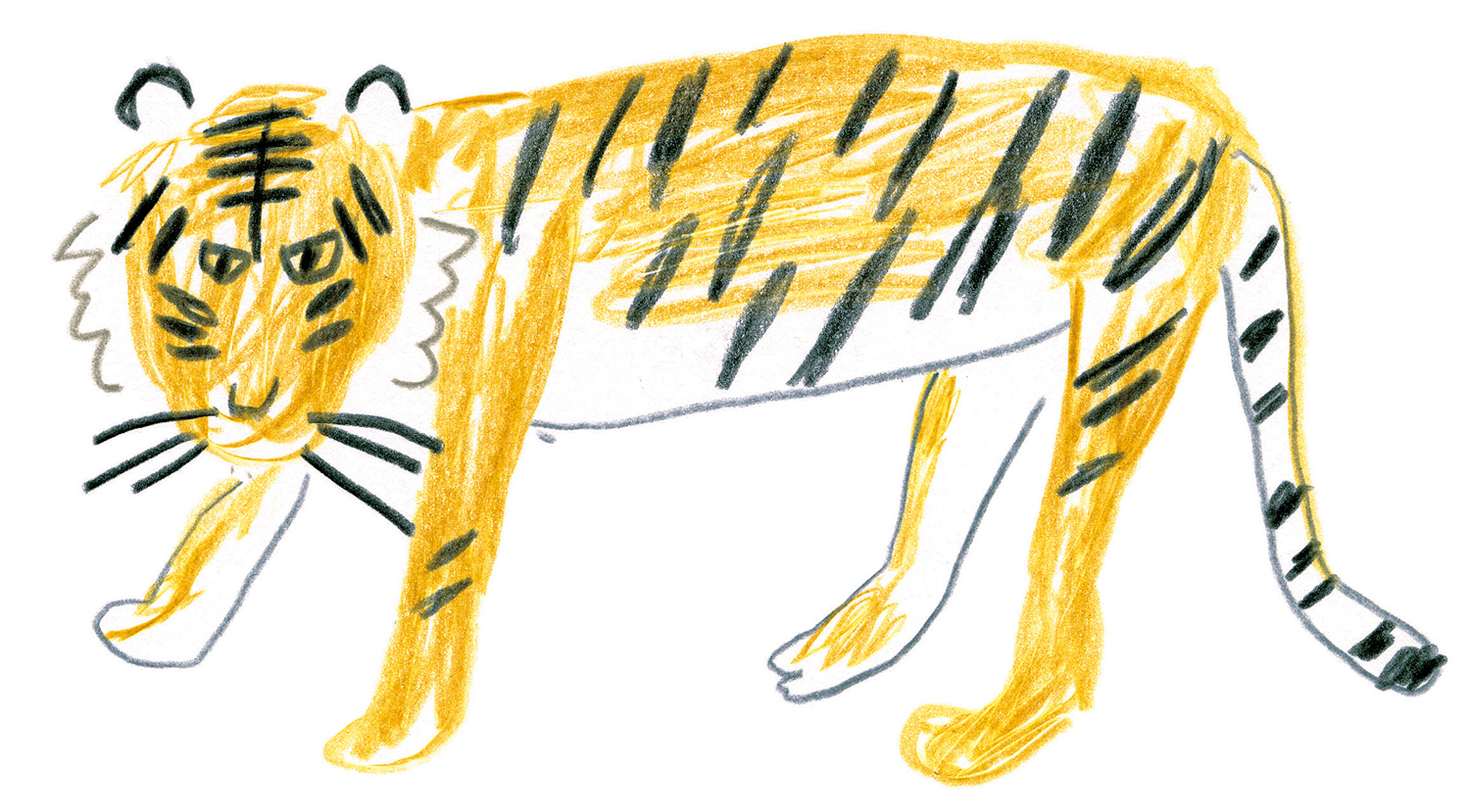 トラを描いてみよう ミヤタチカのお絵描き動物園 ゆるく楽しい描き