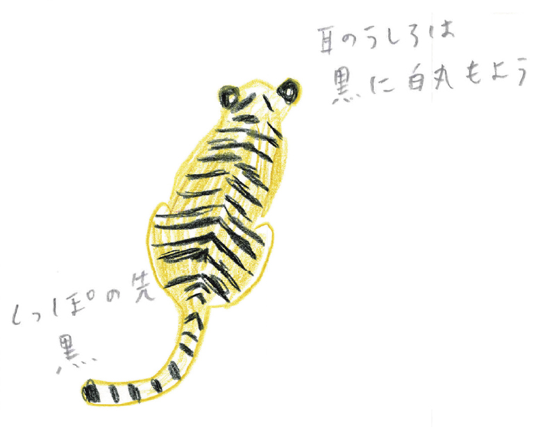 トラを描いてみよう ミヤタチカのお絵描き動物園 ゆるく楽しい描き