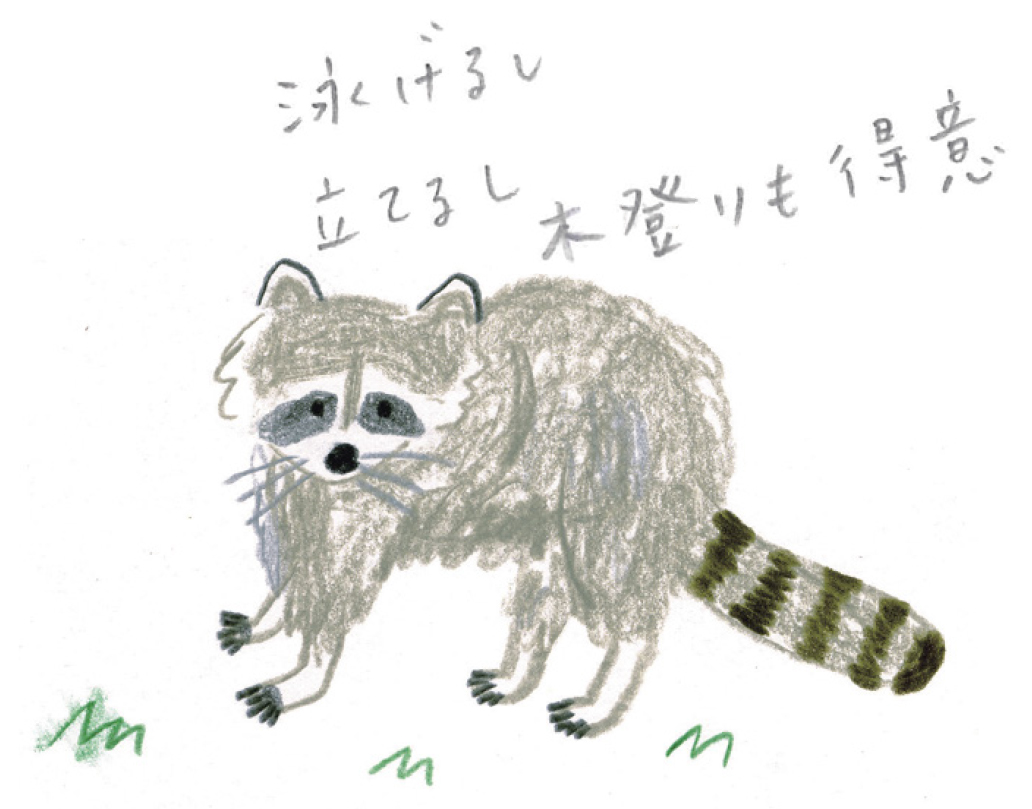 ゆるかわいい アライグマを描いてみよう ミヤタチカのお絵描き動物園 ゆるく楽しい描き方レッスン 第７回 Pictures