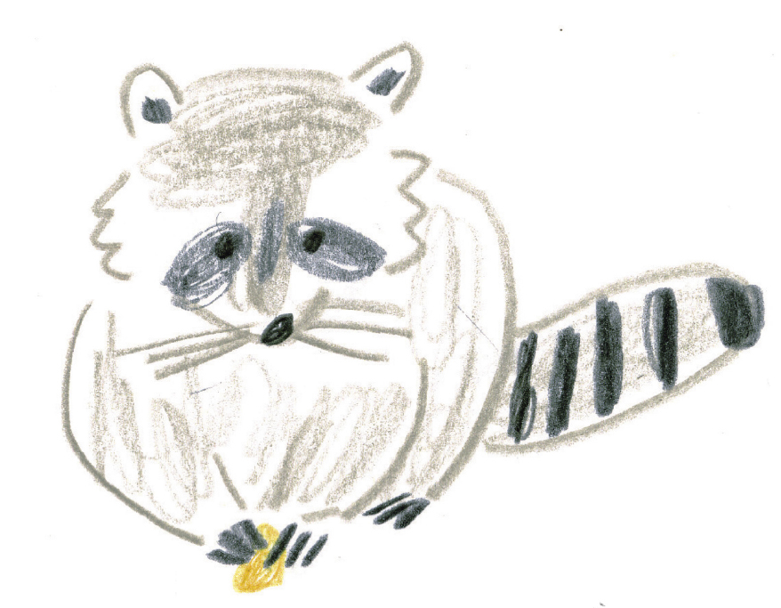ゆるかわいい アライグマを描いてみよう ミヤタチカのお絵描き動物園 ゆるく楽しい描き方レッスン 第７回 Pictures