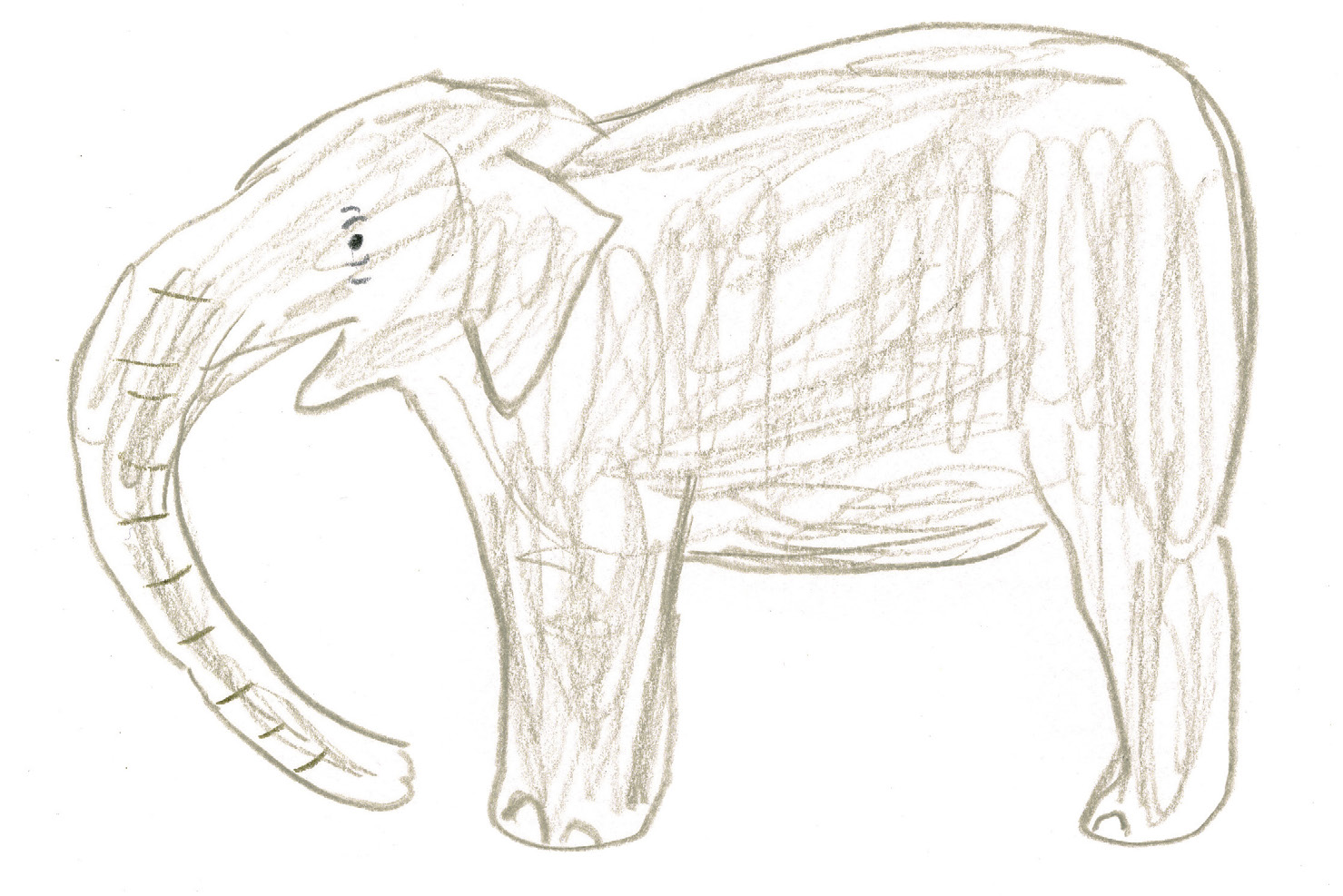 上野動物園 動物スケッチ・デッサンの描き方（一人の生徒さんの描画を通して）４ | 動物イラストやデザインの描き方やコツのブログ