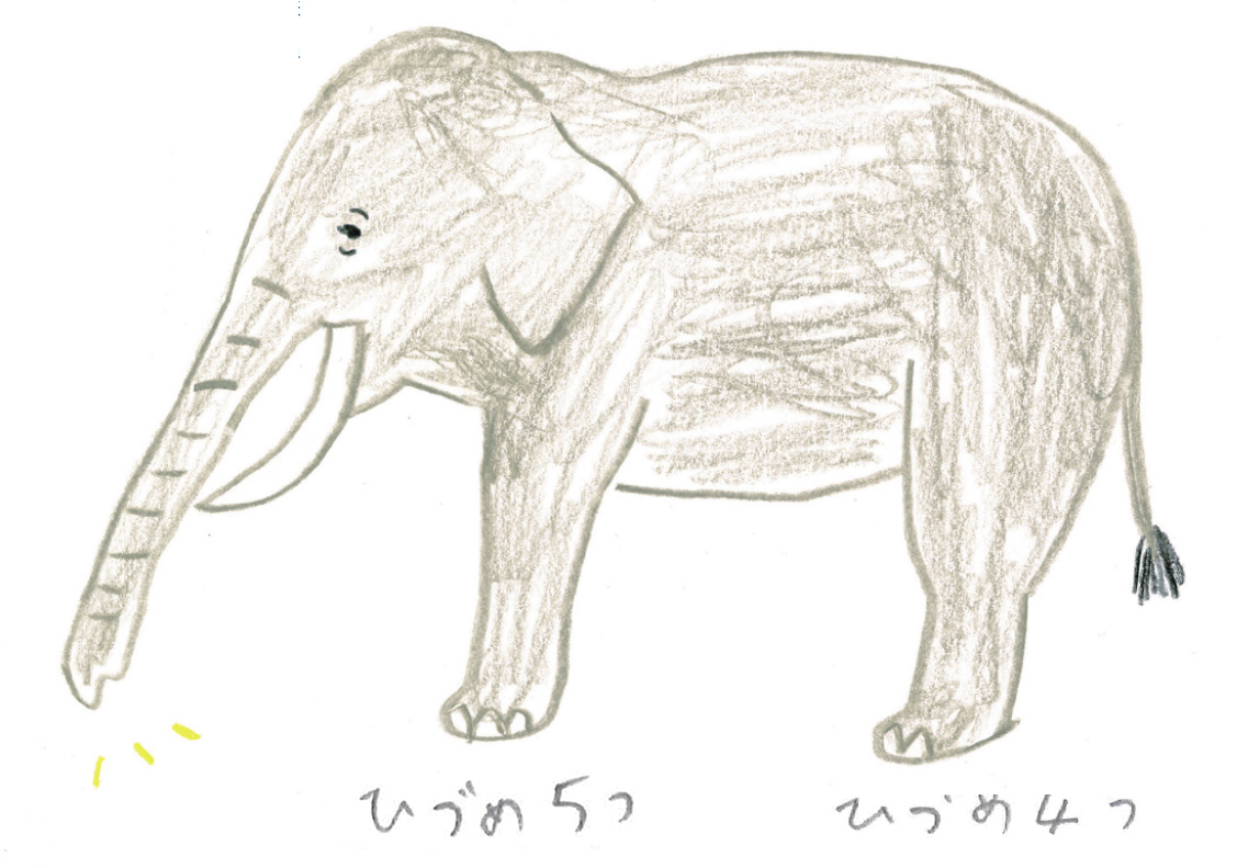 すべての動物の画像 ベスト象 イラスト 書き方