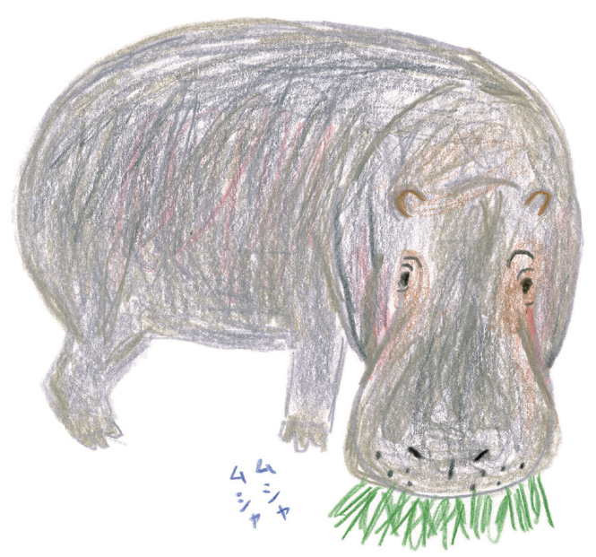 ゆるかわいいカバを描いてみよう ミヤタチカのお絵描き動物園 ゆるく楽しい描き方レッスン 第９回 Pictures