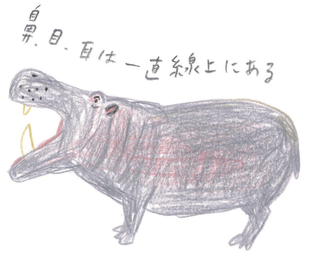 ゆるかわいいカバを描いてみよう ミヤタチカのお絵描き動物園 ゆるく楽しい描き方レッスン 第９回 Pictures