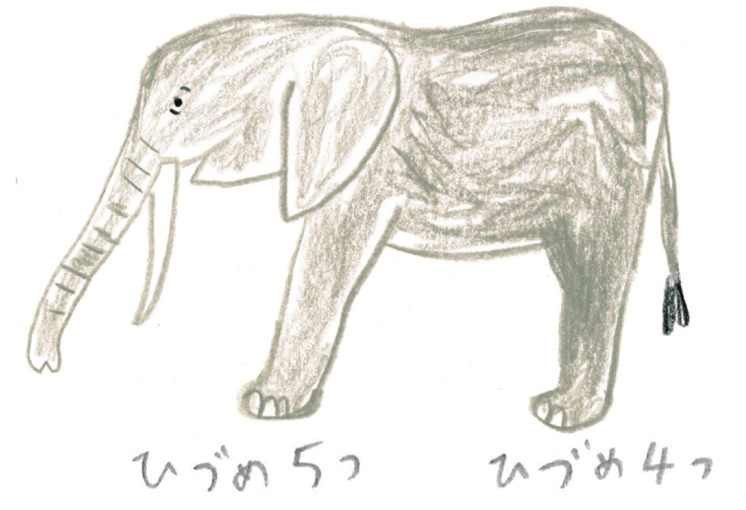絵描き歌で楽しくゾウを描いてみよう ミヤタチカのお絵描き動物園