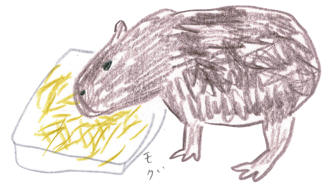 癒し系 の代表 カピバラを描いてみよう ミヤタチカのお絵描き動物園 ゆるく楽しい描き方レッスン 第10回 Pictures