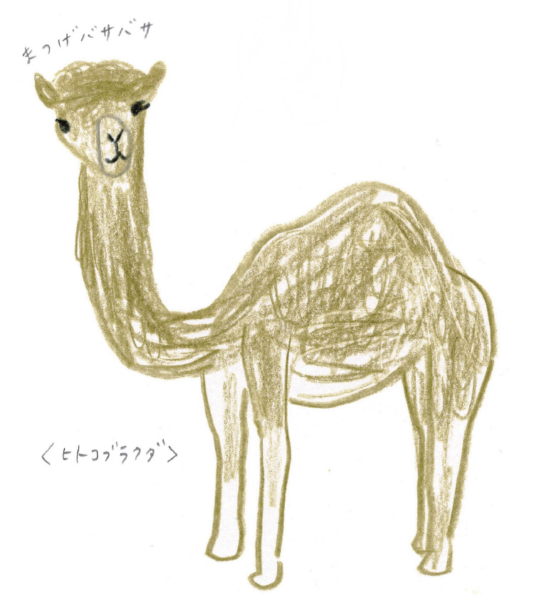 砂漠の人気者 ラクダを描いてみよう ミヤタチカのお絵描き動物園