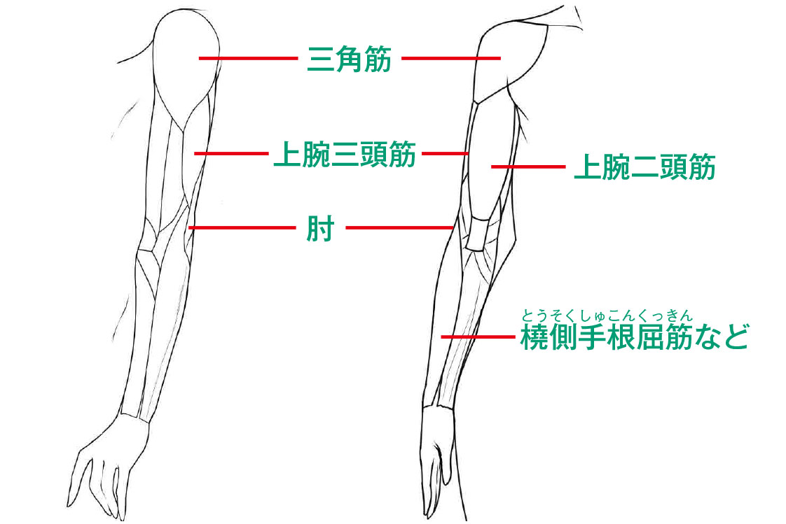 美少女のイラストを描くテクニック 動作や感情を表現する リアルな 腕 肘 の塗り方 美少女イラストのリアルな肌の塗り方 第5回 Pictures