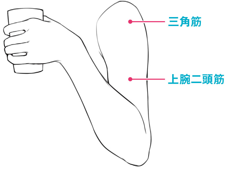 女性の上半身を上手に描こう 胴体と腕 手指の動きを組み合わせたポーズ表現 ちょっぴりhなおんなのこの描き方 第7回 Pictures