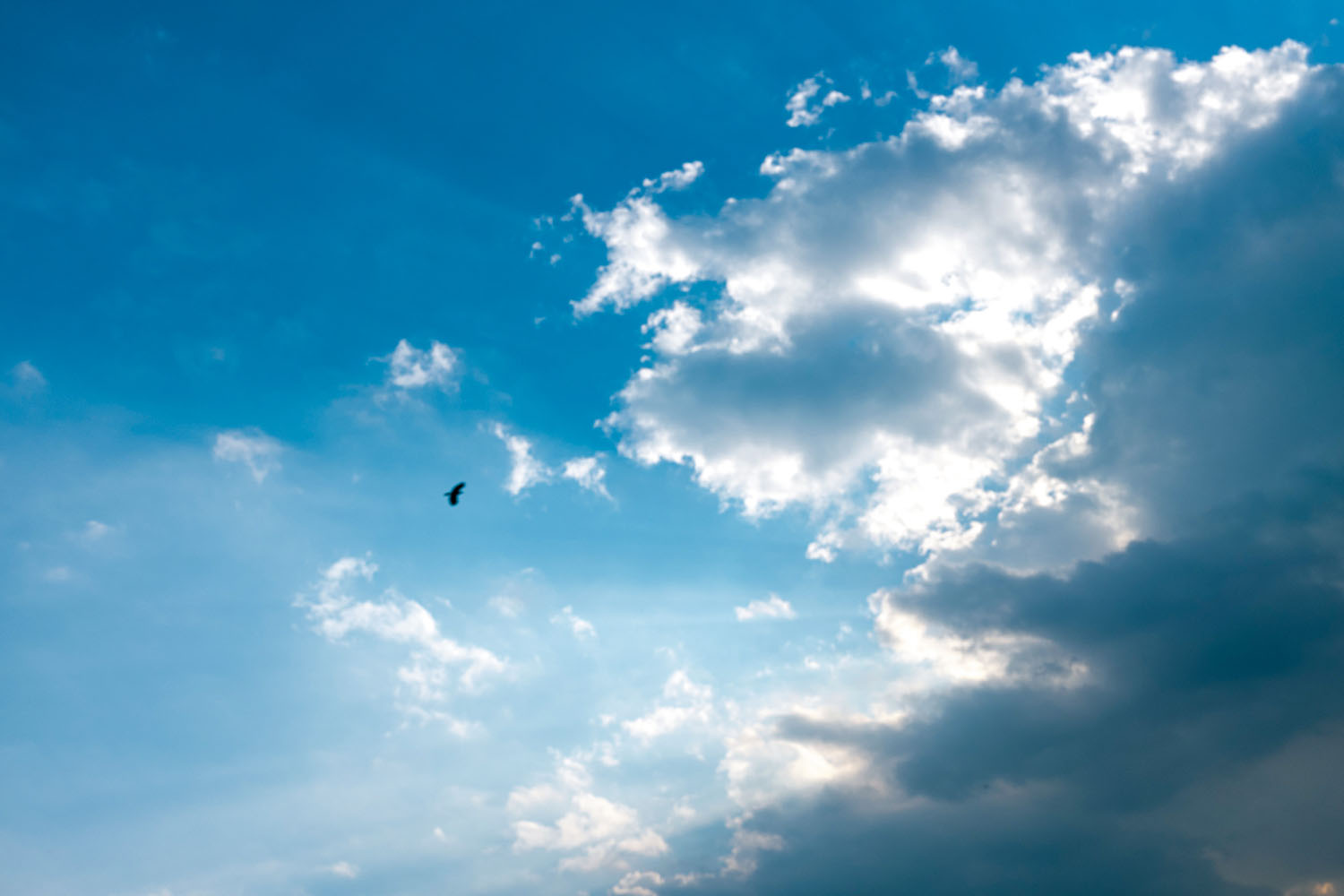絵になりやすくありふれた 雲 の写真 最高の一枚を撮るコツは いつでも撮れるようにしておくこと 大村祐里子の身近なものの撮り方辞典 第26回 Pictures
