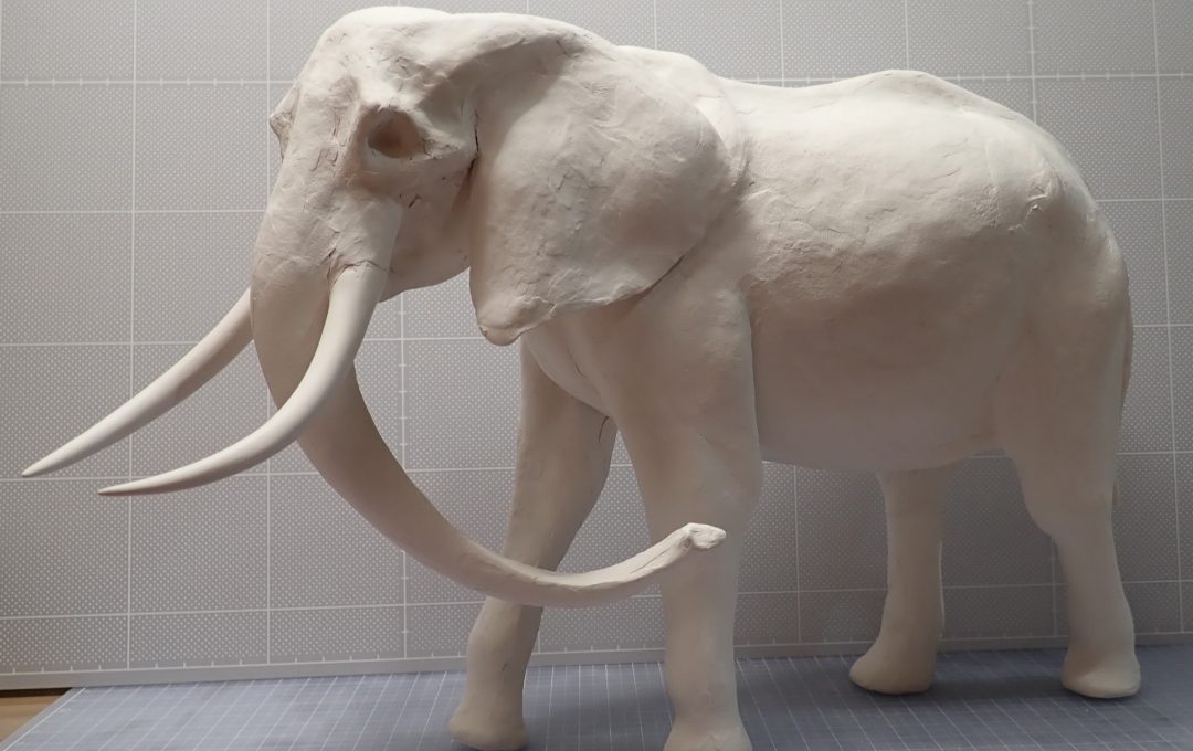 粘土造形スーパーテクニック　アフリカゾウの全体の完成〜頭部と尻尾を組み込む