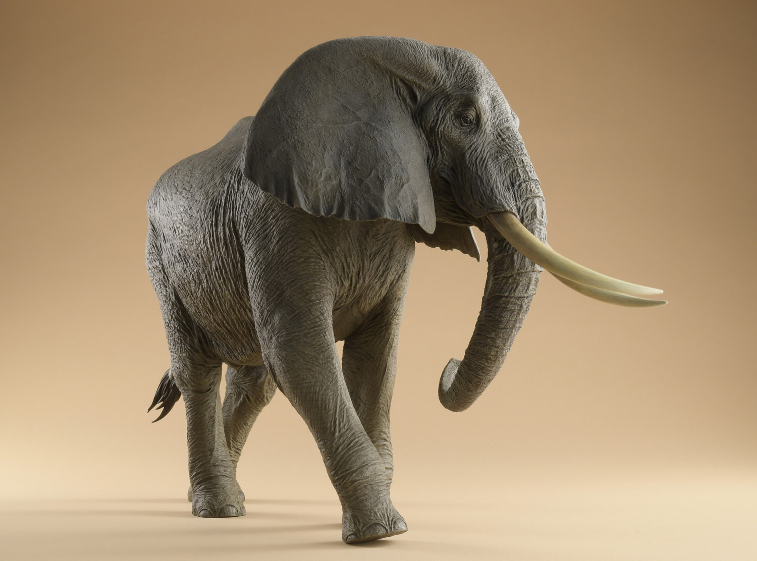 驚くほどリアルな粘土造形 アフリカゾウの骨格を作る 粘土で作る いきもの造形 第2回 Pictures