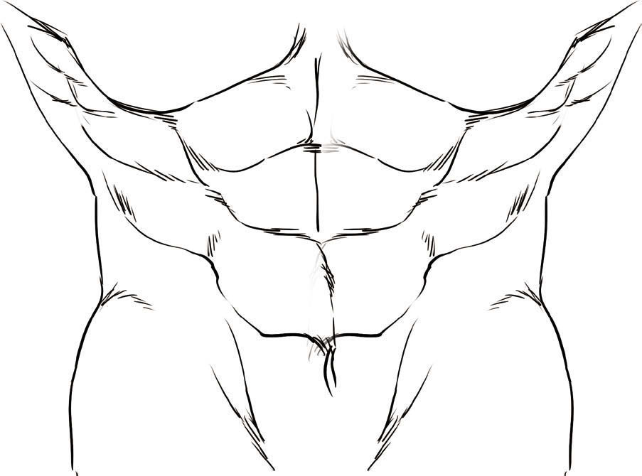 男性的な体つきを特徴づける 筋肉 の描き方とは 色気のある男の描き方 第3回 Pictures