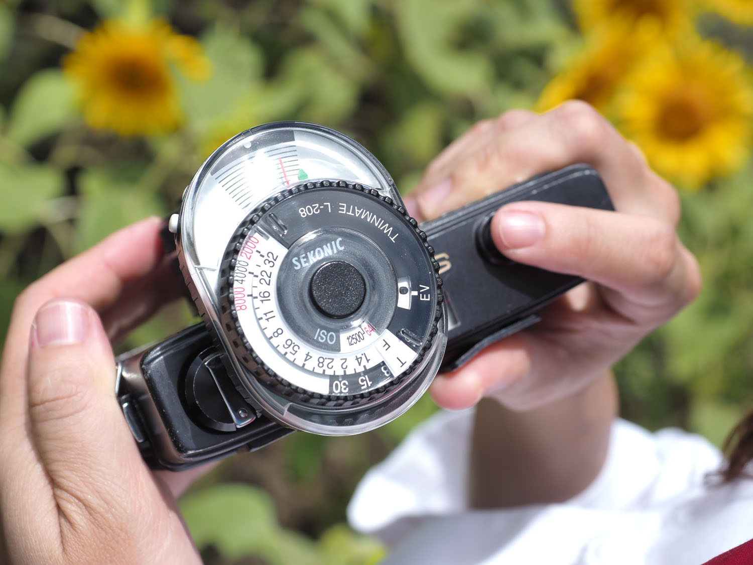 フィルムカメラとリバーサルフィルムで露出計を使ってみよう！ | 大村