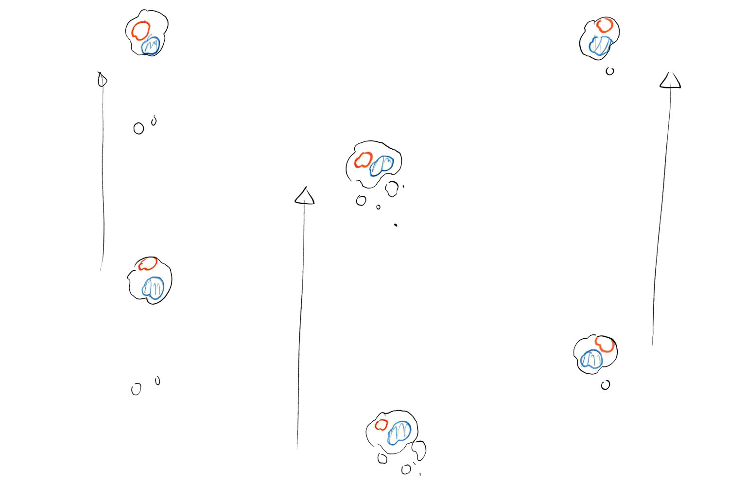 アニメーションのエフェクト ランダムに揺れながら浮き上がる 小さな泡 タイムシートではどう指定する アニメーションのエフェクト作画テクニック 第4回 Pictures