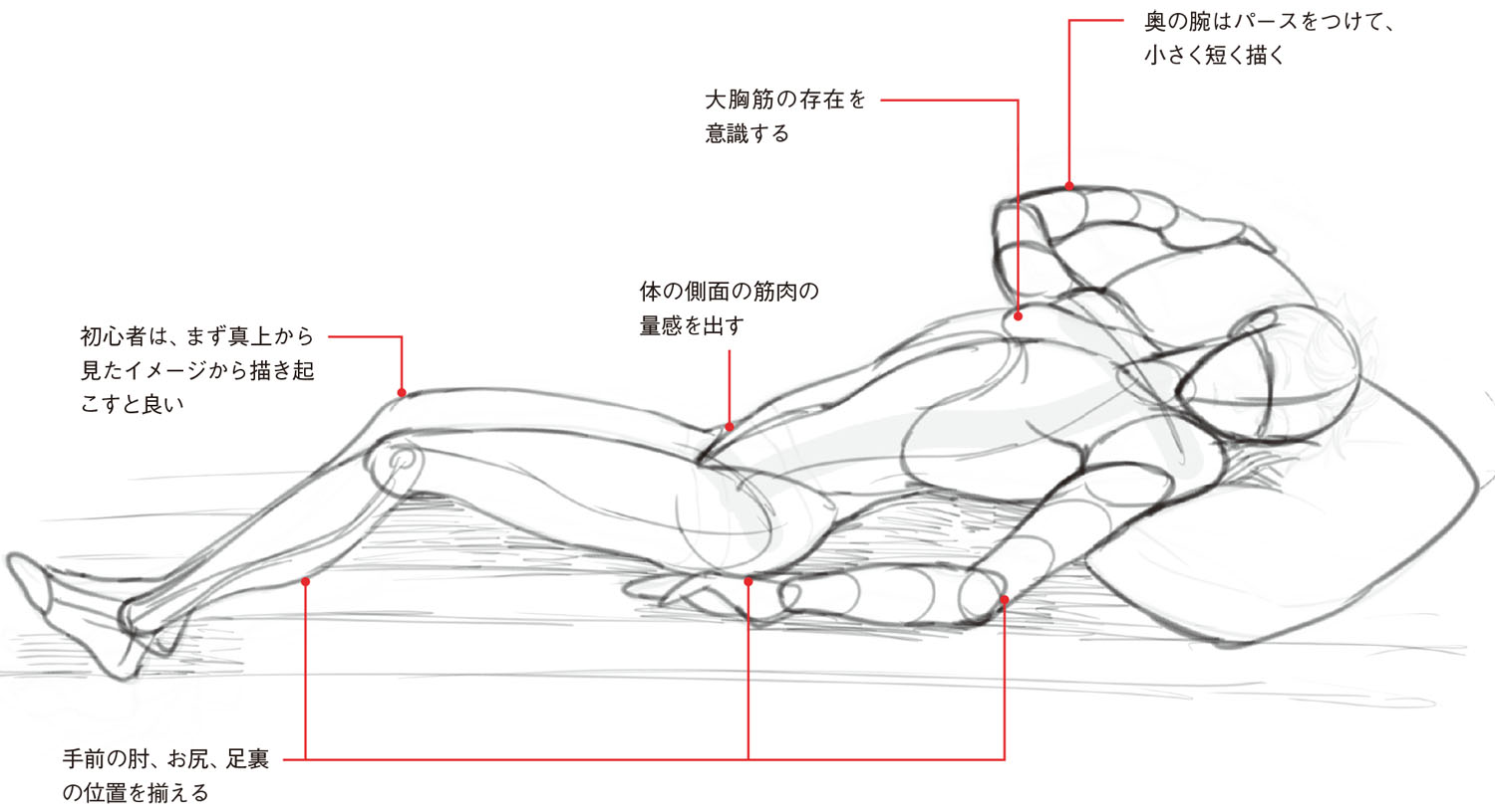 寝ポーズ基本編 男性の 寝姿勢 は直線的 筋肉の量感と動きを意識し