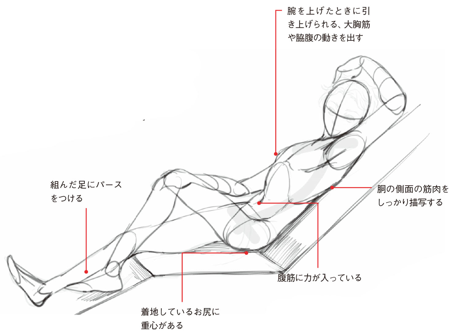 寝ポーズ基本編 男性の 寝姿勢 は直線的 筋肉の量感と動きを意識して描こう 動きのあるポーズの描き方 男性キャラクター編 第6回 Pictures