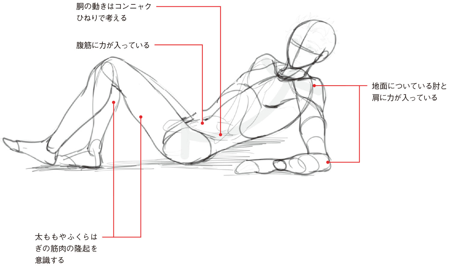 寝ポーズ基本編 男性の 寝姿勢 は直線的 筋肉の量感と動きを意識して描こう 動きのあるポーズの描き方 男性キャラクター編 第6回 Pictures