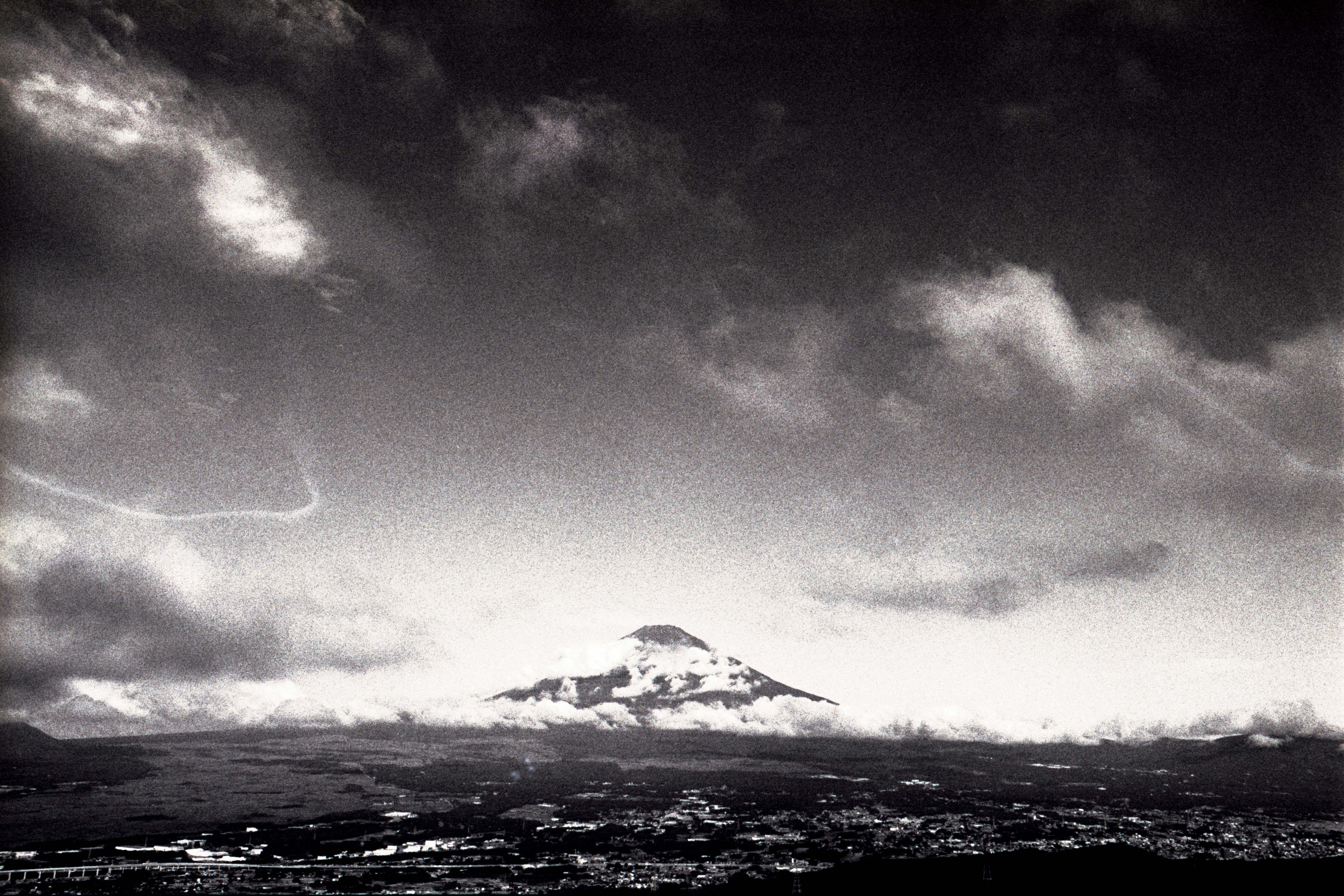 フィルムってどれがいいのだろう？実際に撮り比べて自分に合った