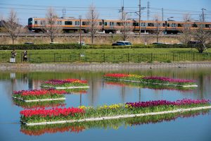 【武蔵野線 東川口～南越谷】貨物列車に通勤電車、いろいろな車両が撮れるいつもの公園