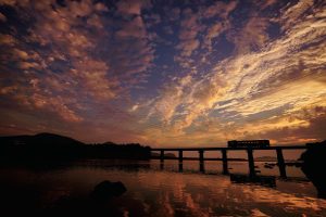 【日南線 大堂津～南郷】朝日に映える河口近くの鉄橋