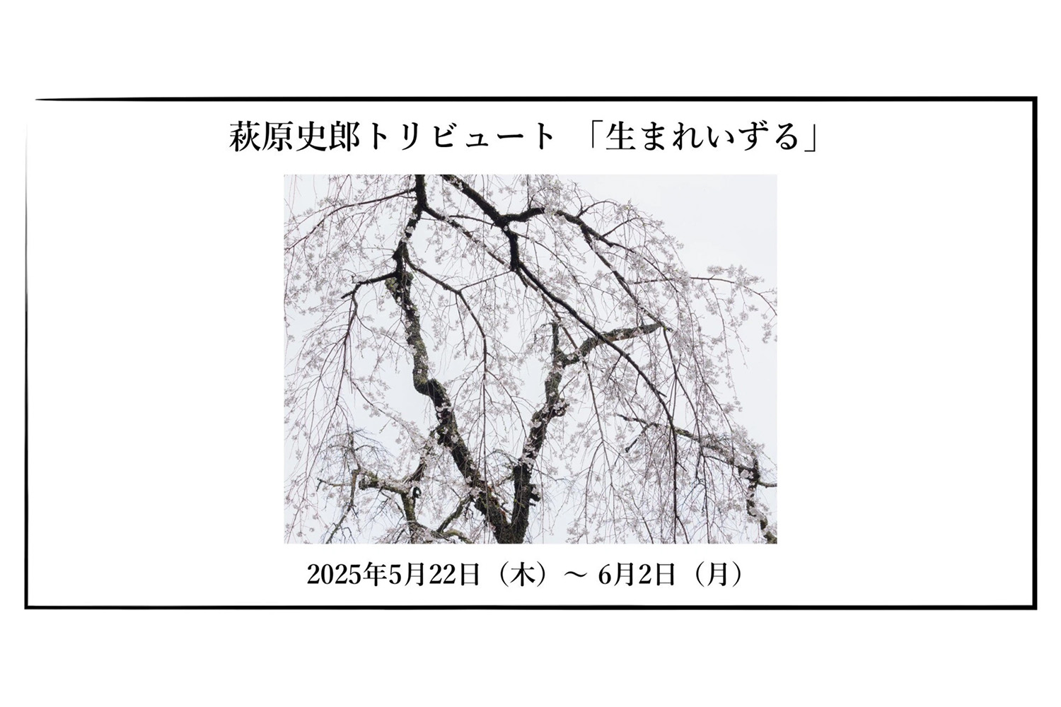 萩原史郎トリビュート写真展 「生まれいずる」｜OM SYSTEM