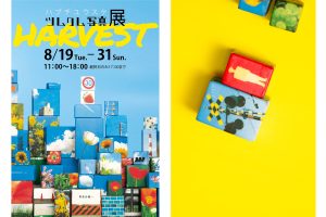 ハブチユウスケ ツムクム写真展「HARVEST」｜京都写真美術館 ギャラリー・ジャパネスク