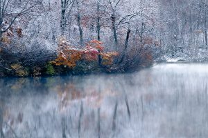 「森に学んだ自然観」を発信する 石田道行 写真展「Forest」開催