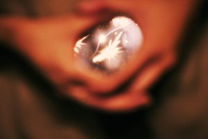 廖文瑄 写真展「残響記・息」｜京都写真美術館 ギャラリー・ジャパネスク