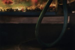 松田有加里「Japan Chic ～ New York」｜京都写真美術館 ギャラリー・ジャパネスク