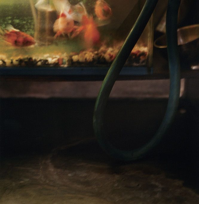 松田有加里「Japan Chic ～ New York」｜京都写真美術館 ギャラリー・ジャパネスク