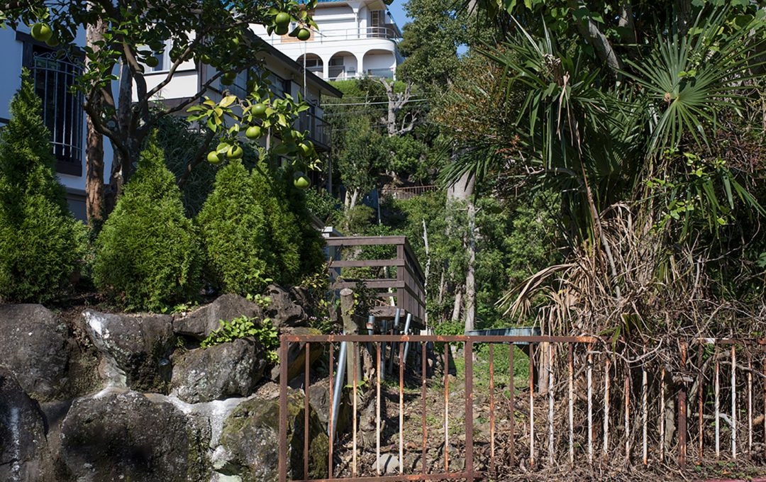 寺崎珠真 個展「LANDSCAPE PROBE: Interim Report 2024-2025」2026年4月24日より開催