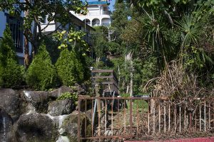 寺崎珠真 個展「LANDSCAPE PROBE: Interim Report 2024-2025」2026年4月24日より開催