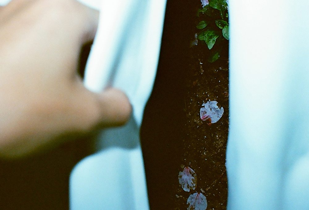向井貴也 写真展「孤独の庭と部屋の夜」2026年7月14日より開催