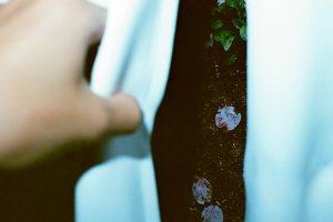 向井貴也 写真展「孤独の庭と部屋の夜」2026年7月14日より開催