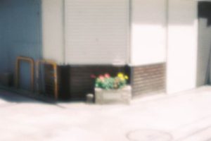 知覧果奈 写真展「ゆめあるき」2026年8月11日よりギャラリー・ソラリスにて開催