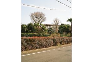 安武青架 個展「Silver Lining」7月31日より開催