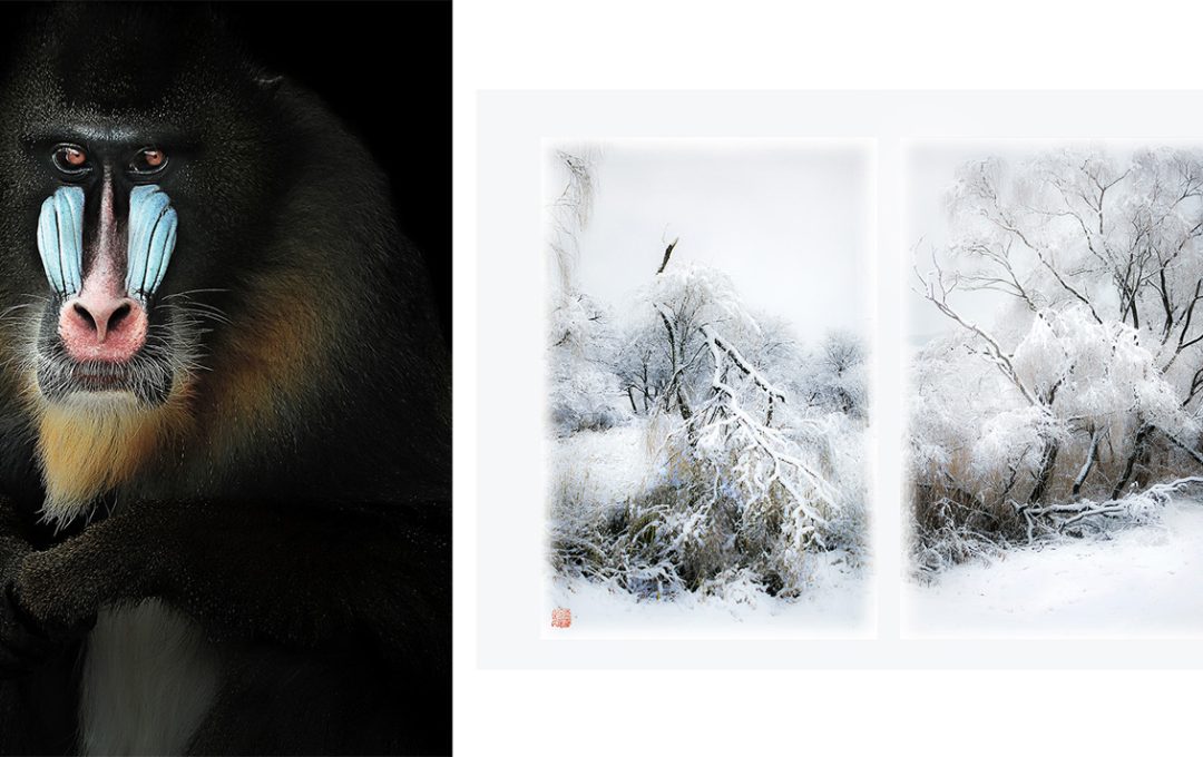 『DUO Exhibition 鈴木直史・西岡千春』2026年12月1日より京都写真美術館 2階展示室にて開催