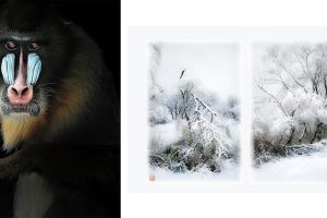 『DUO Exhibition 鈴木直史・西岡千春』2026年12月1日より京都写真美術館 2階展示室にて開催