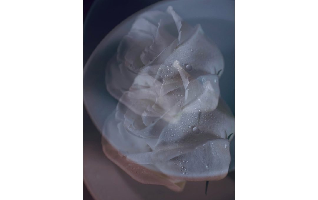 大町憲治 写真展・蒔絵師の視点 ～融合～「写真と漆芸」2026年12月15日より京都写真美術館 2階展示室にて開催