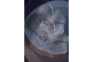 大町憲治 写真展・蒔絵師の視点 ～融合～「写真と漆芸」2026年12月15日より京都写真美術館 2階展示室にて開催